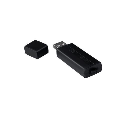 MemoQ, USB key long term voice recorder, 24 hrs